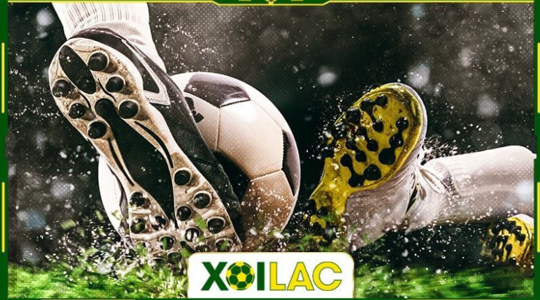 Xem trước lịch thi đấu trực tiếp bóng đá Euro 2024 Xoi Lac TV