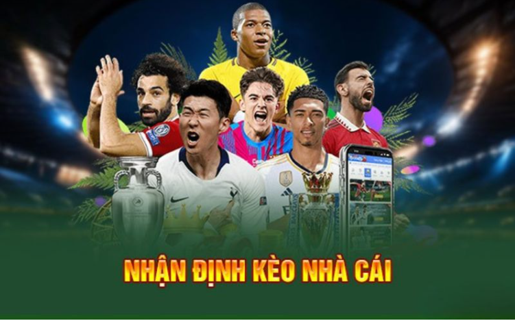 Dịch vụ cung cấp nhận định miễn phí 100% 